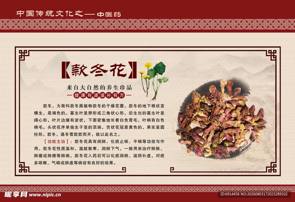 款冬花