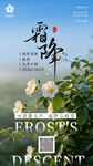 霜降时节