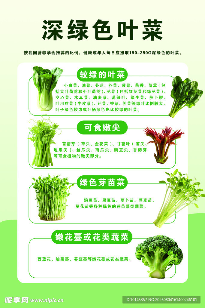 深绿色叶菜种类