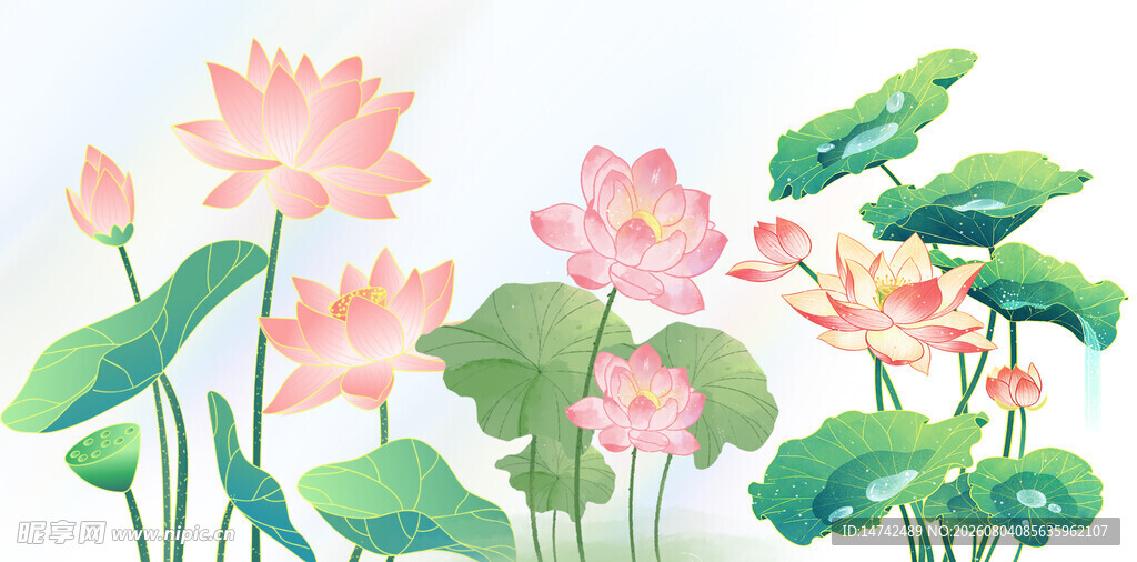 水彩荷花