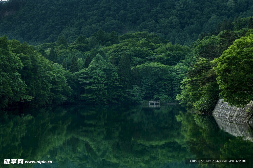 静谧山林间的清幽湖水