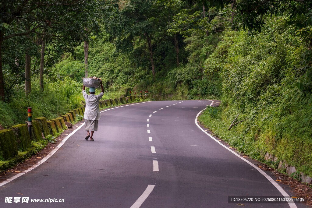 林间公路风景