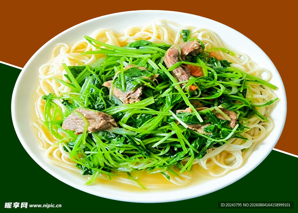 鸽子拌面