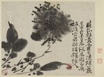 水墨芙蓉图