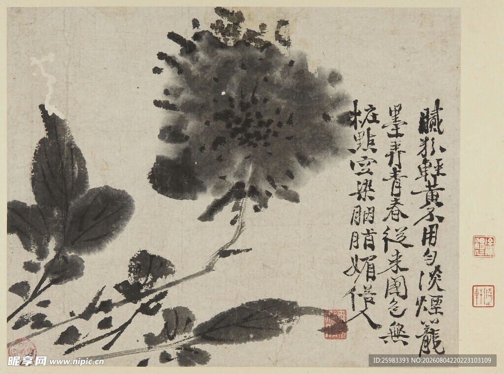水墨芙蓉图