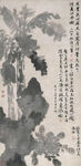 芭蕉树下图