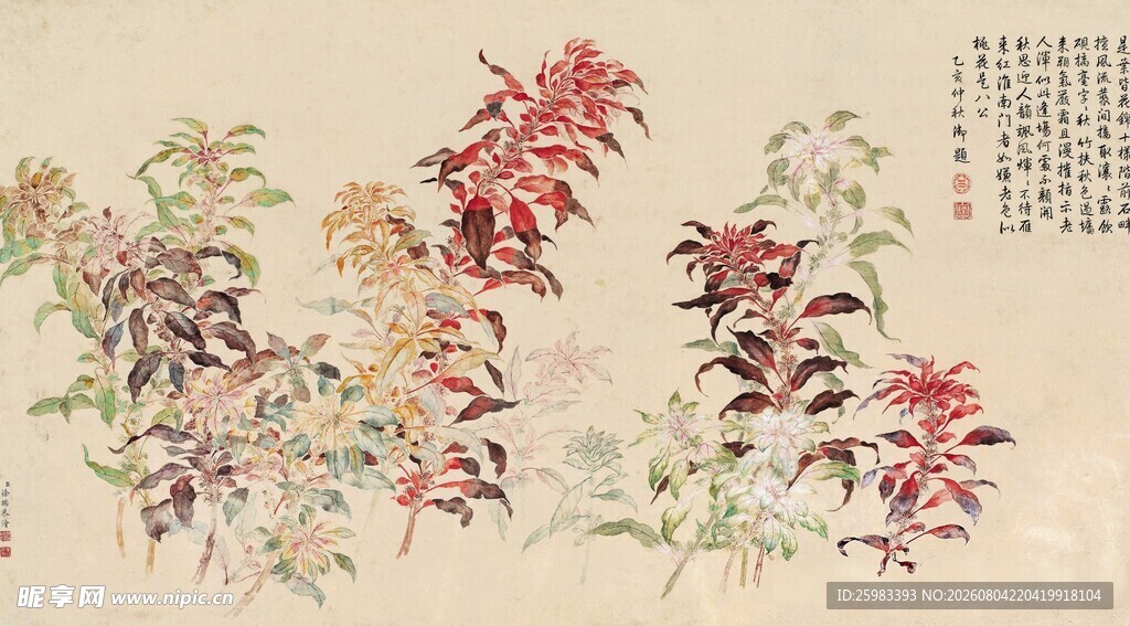 植物插画