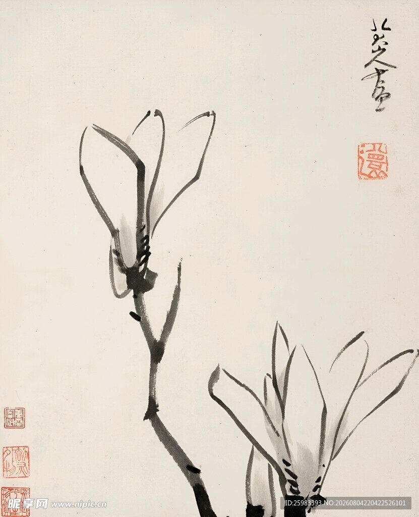 花卉国画