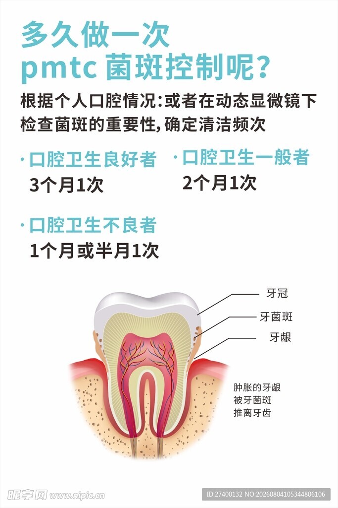 牙齿控制期多久做一次