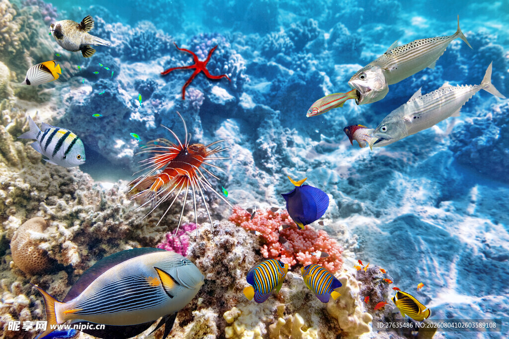 海底缤纷世界多彩海洋生物