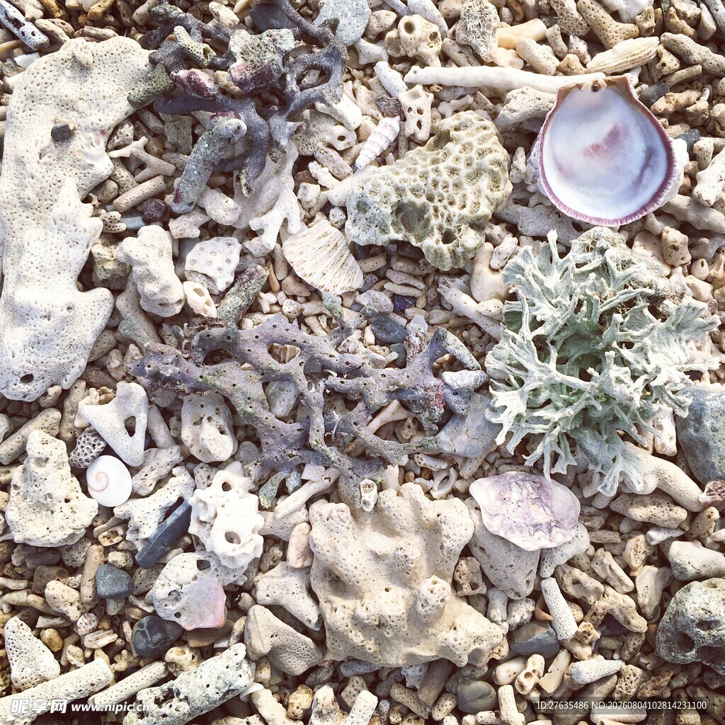 海滩上的多样海洋残骸