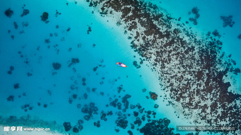蓝色海洋中的珊瑚景观