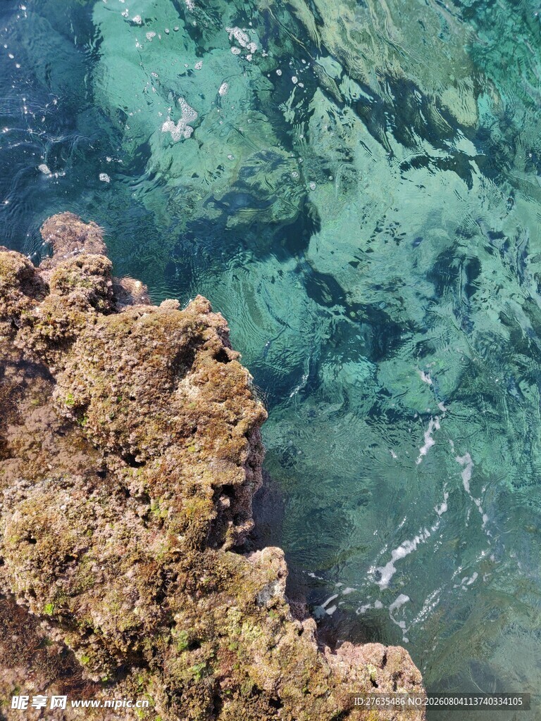 海底珊瑚与清澈海水景观
