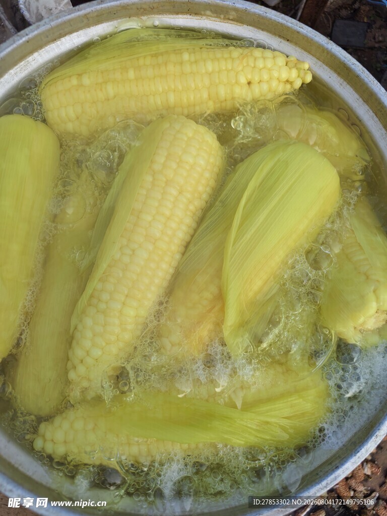 玉米