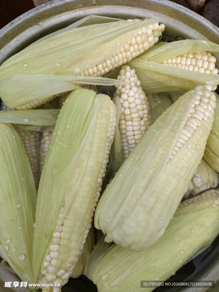 玉米