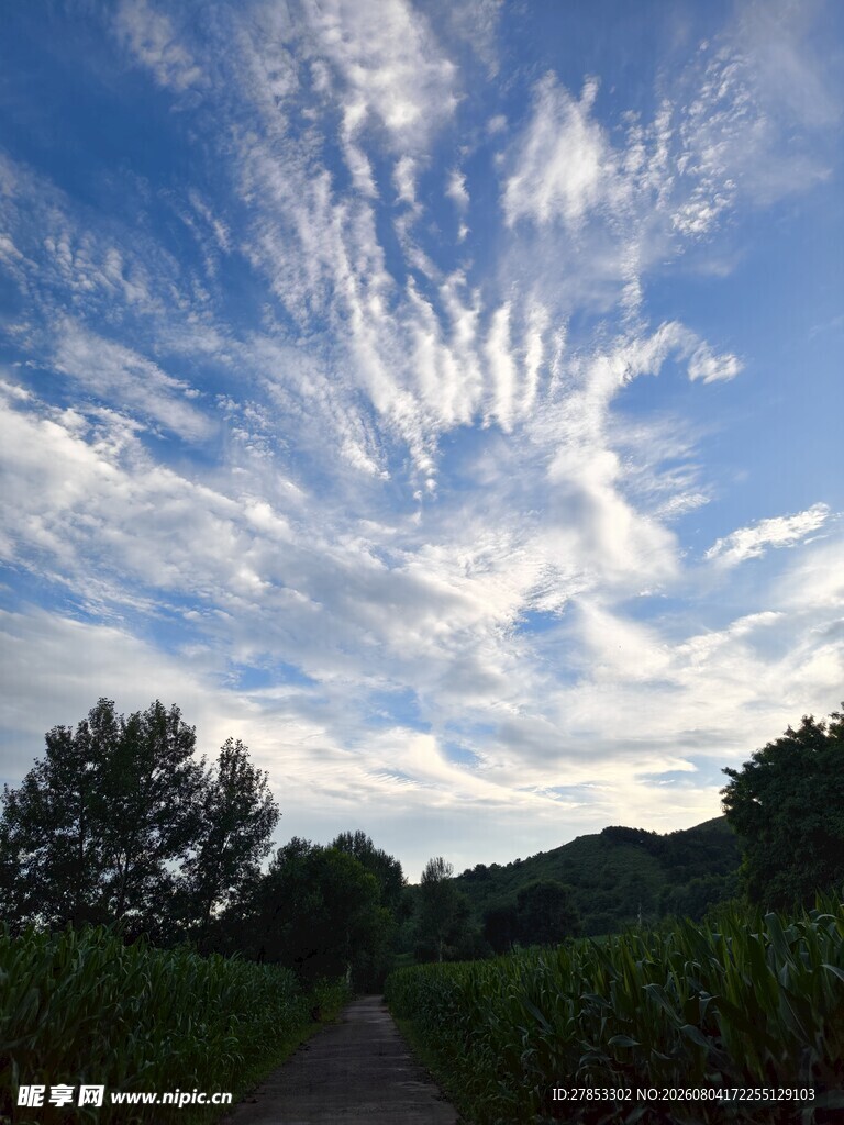 树