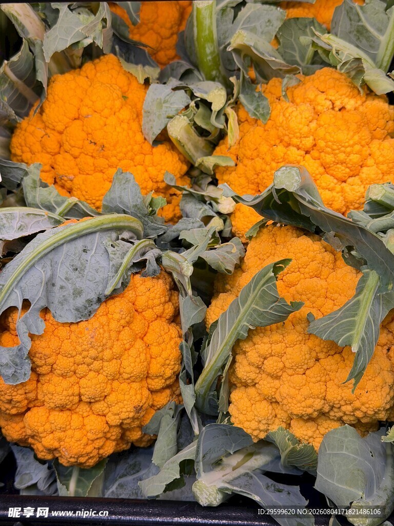 花菜  