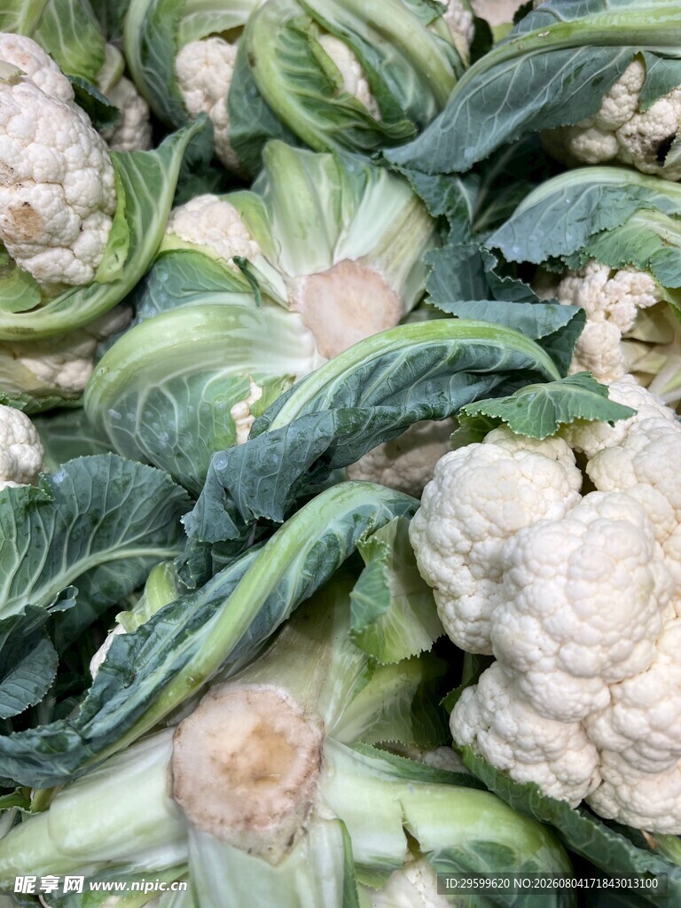 花菜  