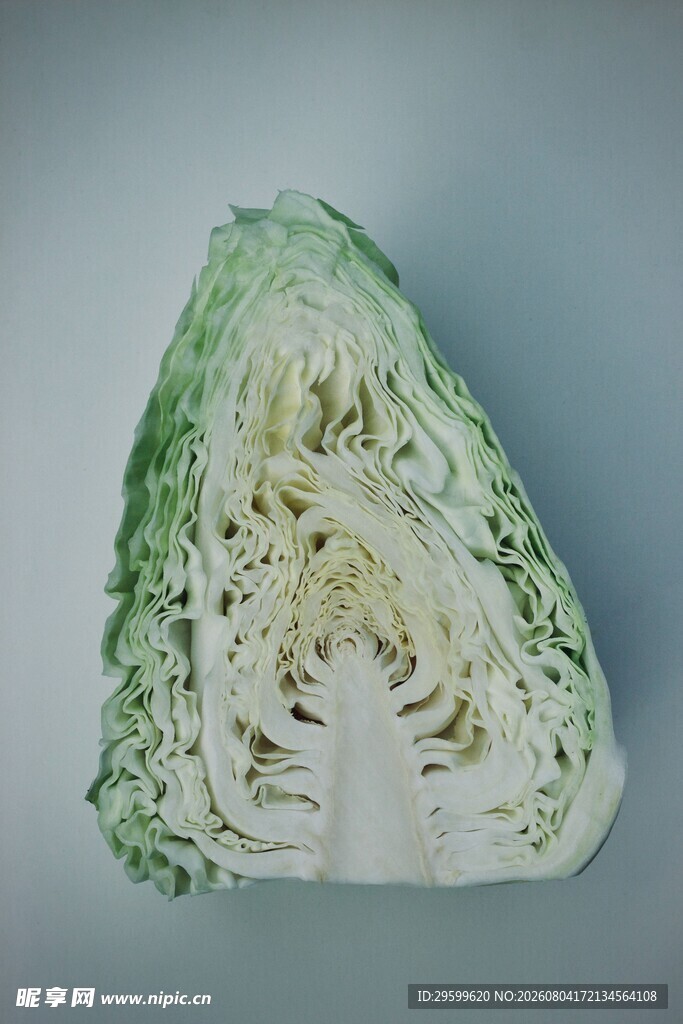 包菜 