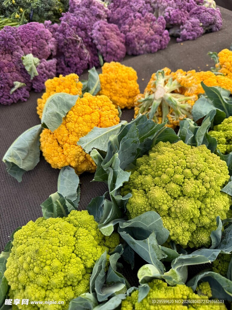 花菜  