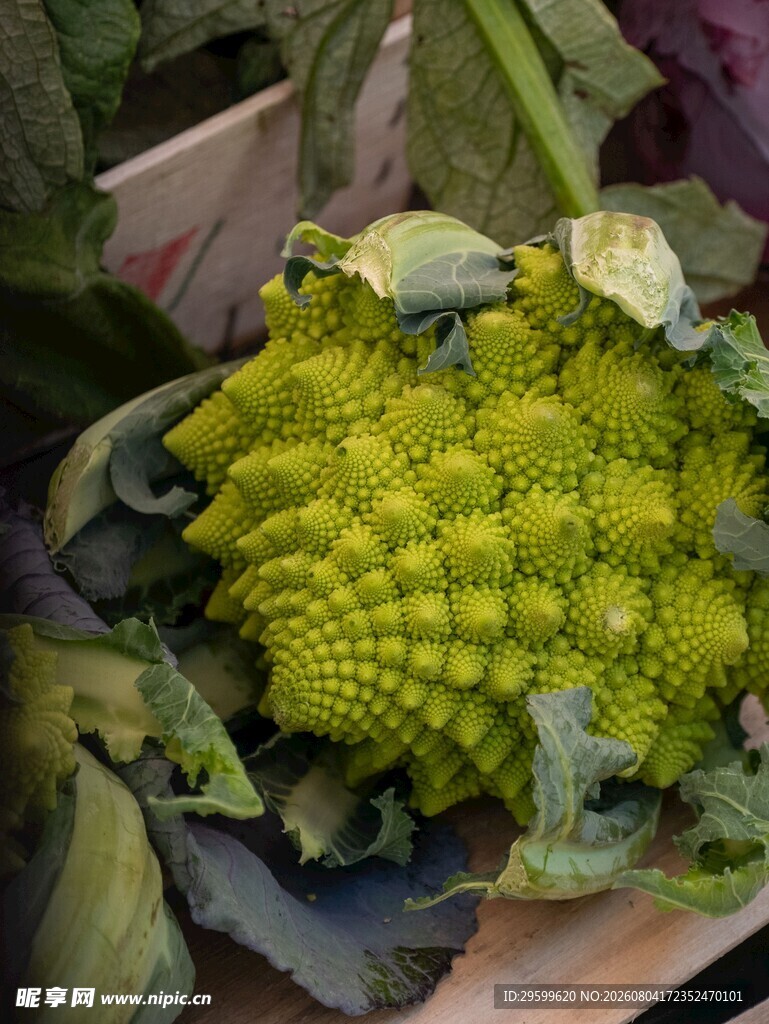 花菜 