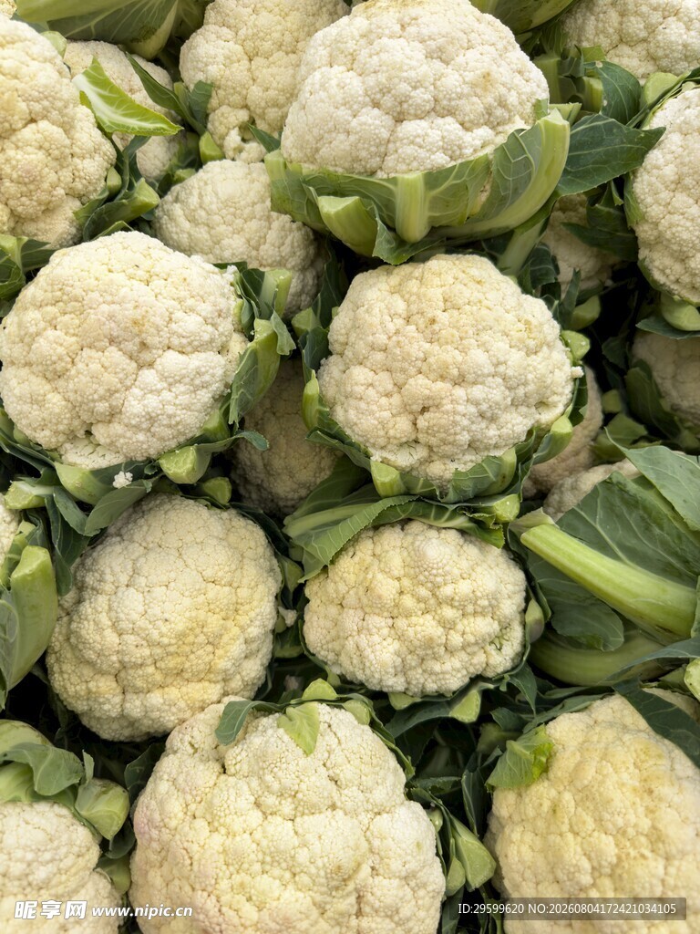 花菜  