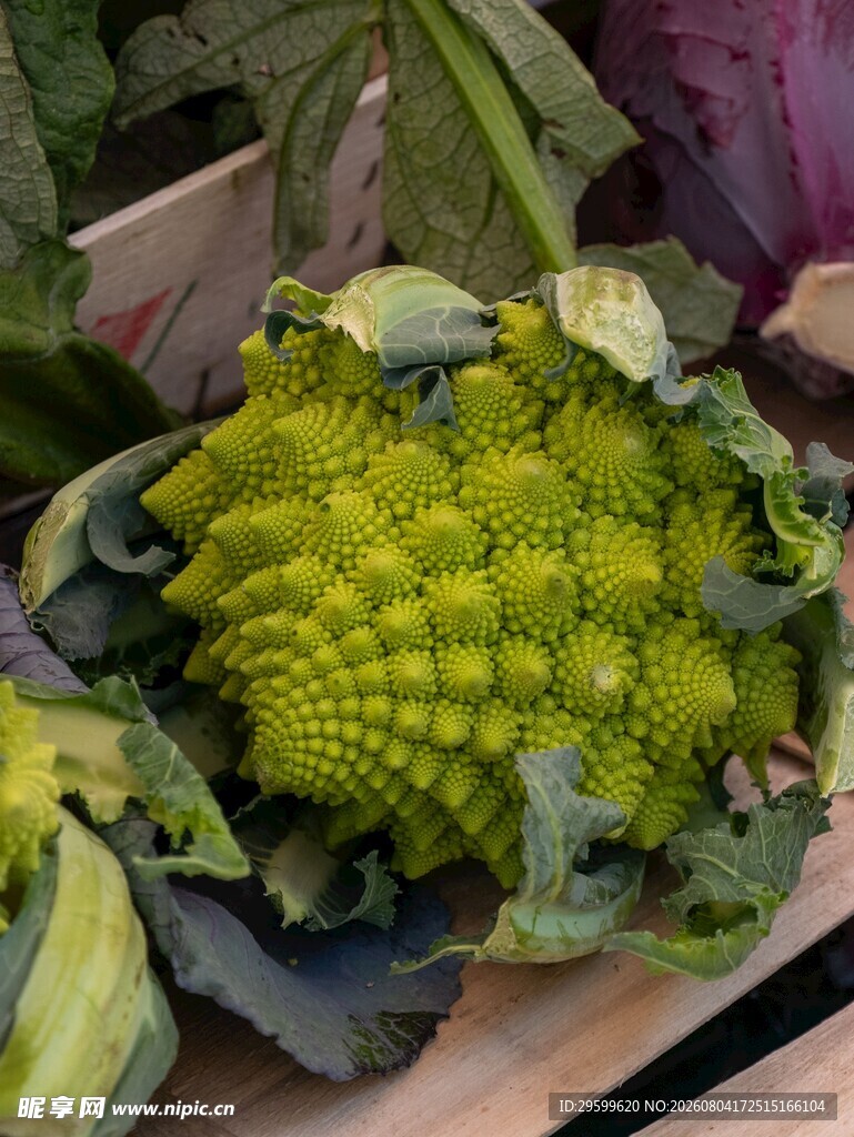 花菜 