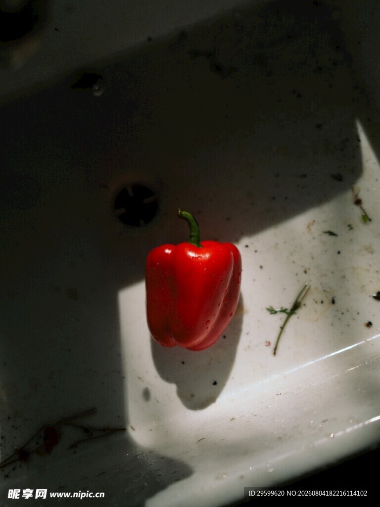 辣椒 