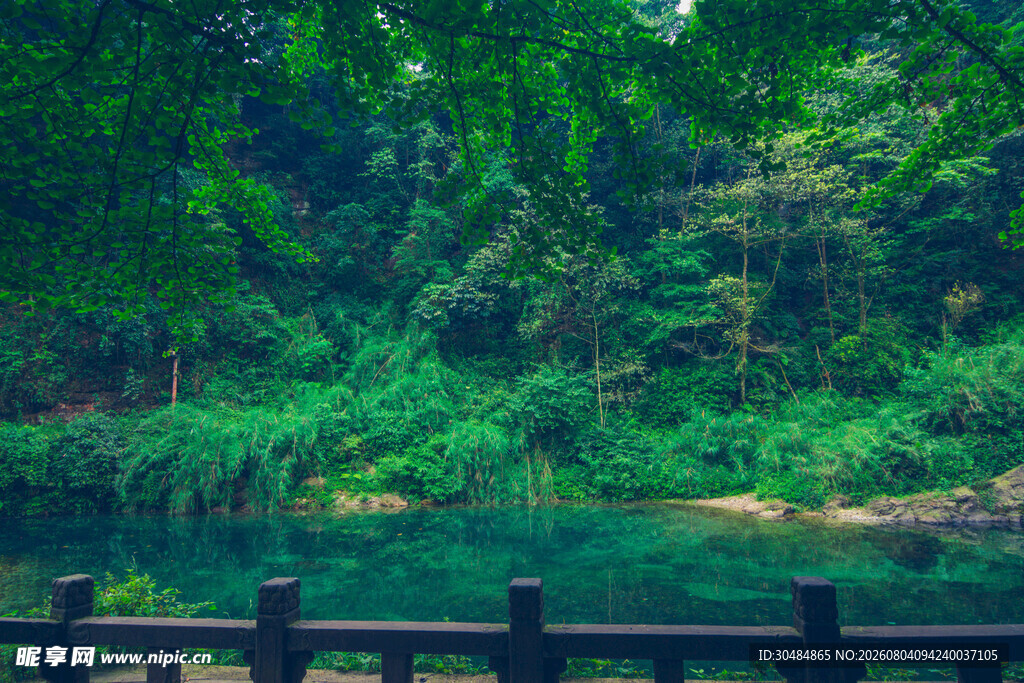 峨眉山湖畔绿荫