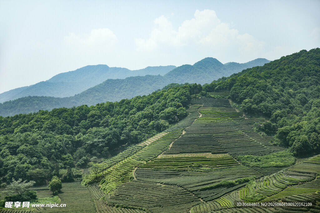 青山绿野间的梯田美景