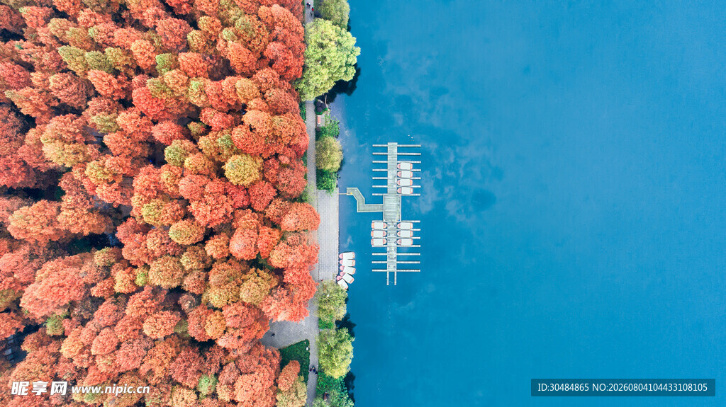 航拍西湖码头红杉林和湖水
