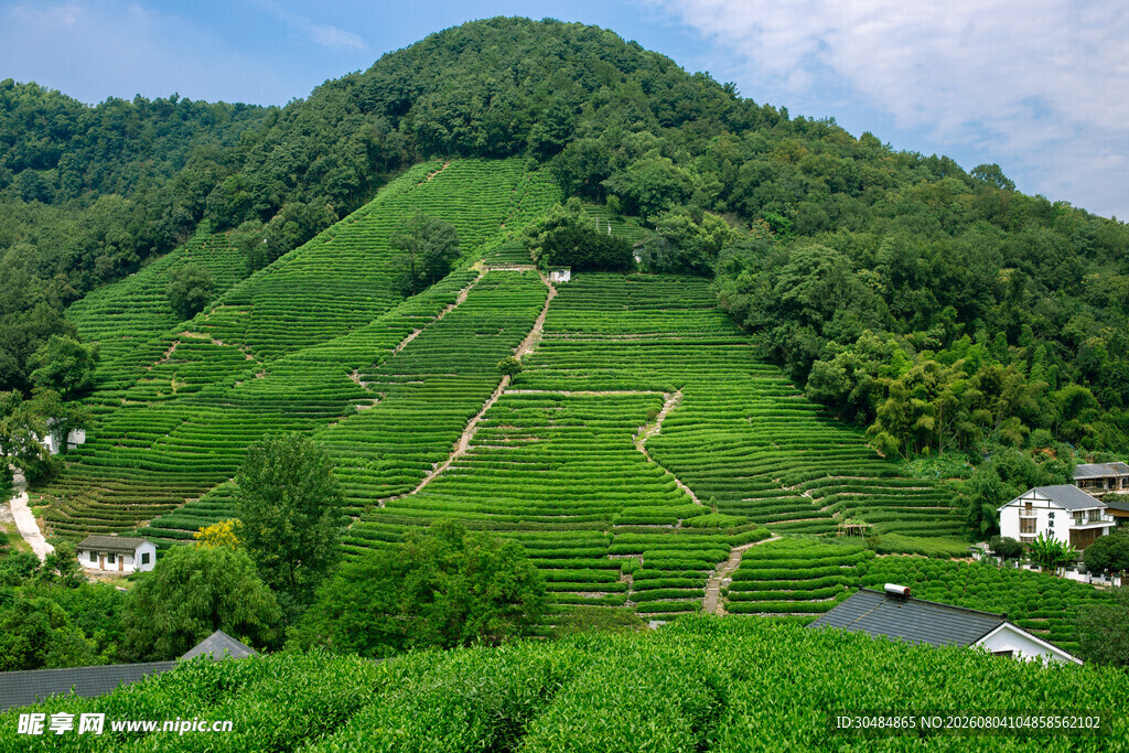 浙江杭州西湖龙井村