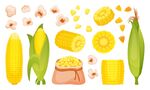 玉米素材合集