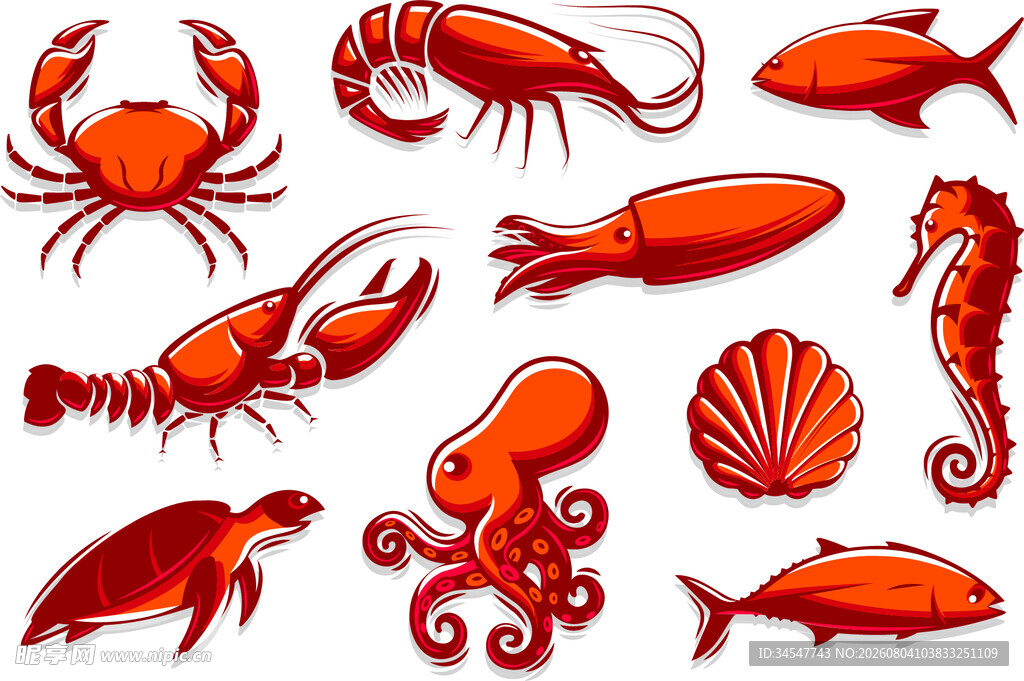 海洋生物集合