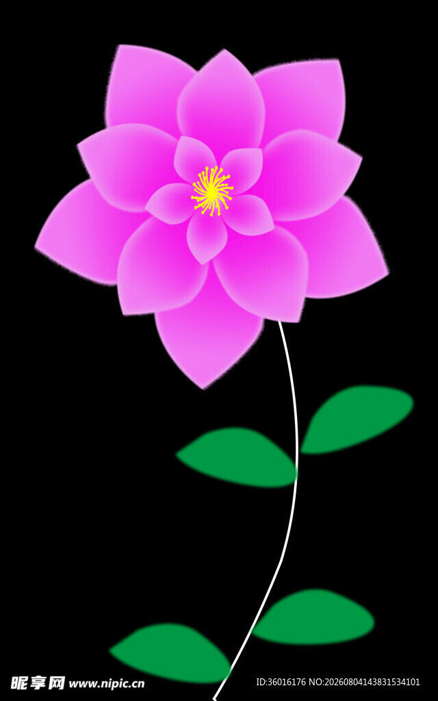 花朵