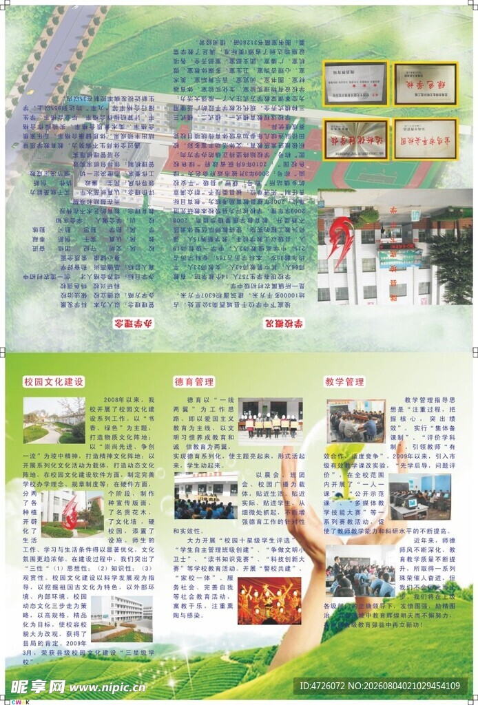 学校彩页宣传页