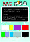 彩页模板展示多种色彩选择