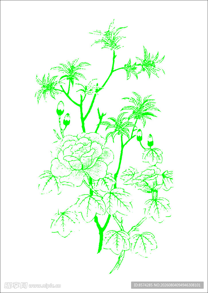 中国古典植物线条插画