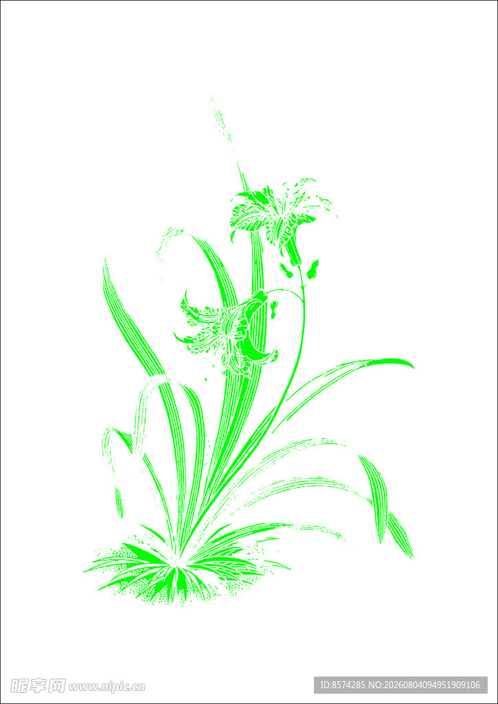 中国古典绿色花卉植物插画
