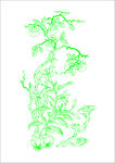绿色中式植物线条图案