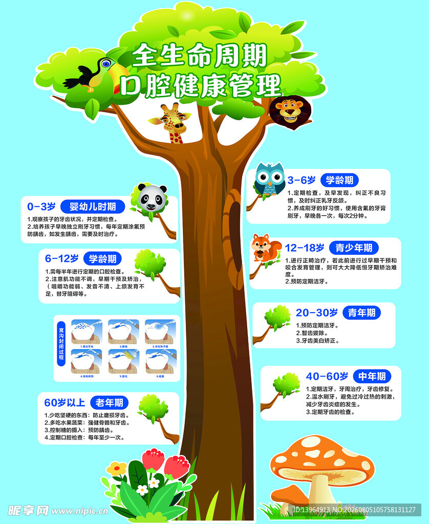 生命全周期口腔健康