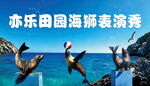 欢乐海狮表演秀展板