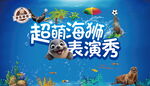 超萌海狮表演秀