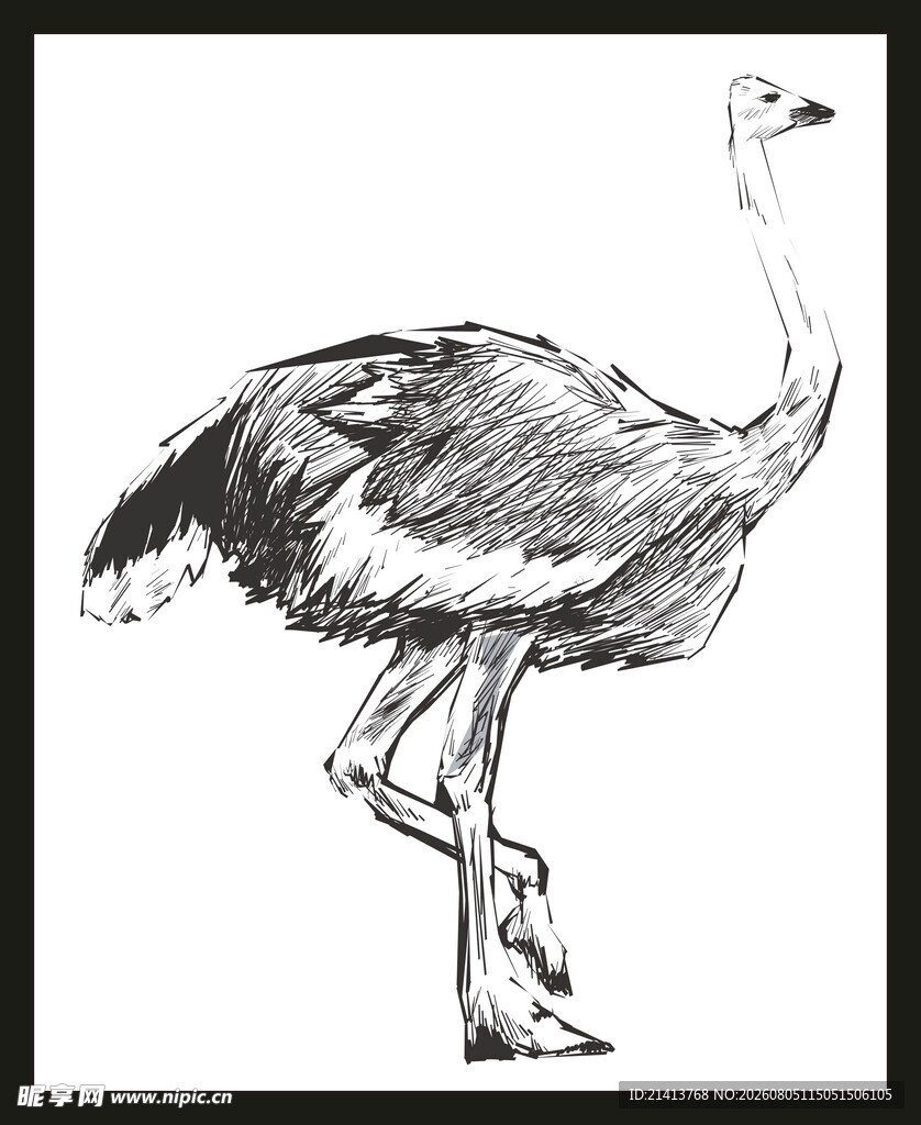 站立的鸵鸟黑白素描图