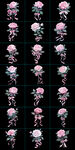 粉色玫瑰花
