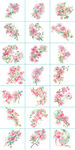海棠花