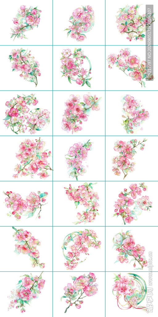 海棠花