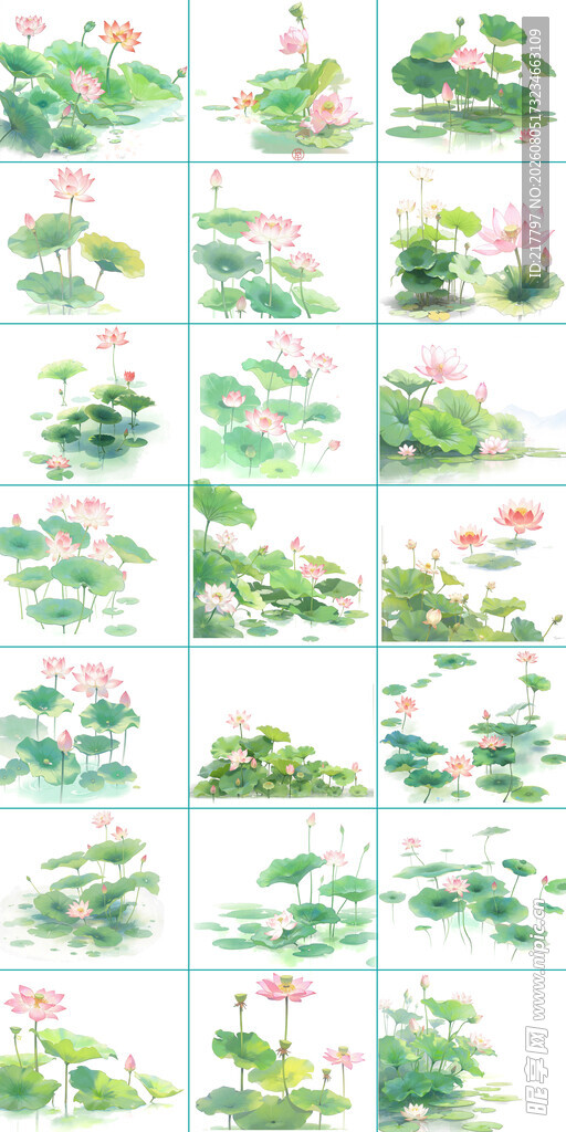 手绘荷花