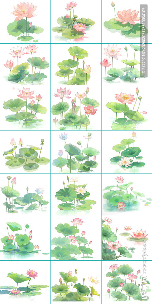 手绘荷花