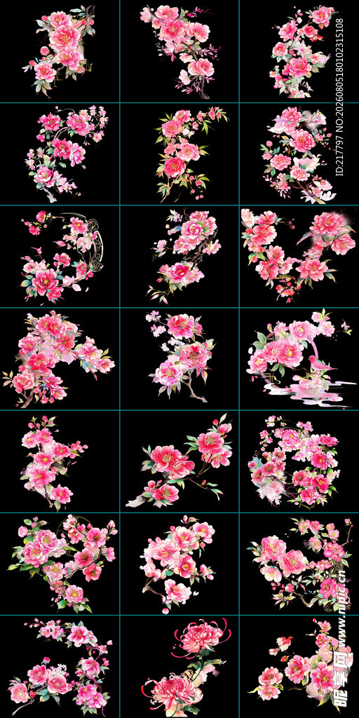 手绘牡丹花